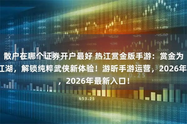 散户在哪个证券开户最好 热江赏金版手游:赏金为核,重闯江湖,解锁纯粹武侠新体验!游昕手游运营,2026年最新入口!