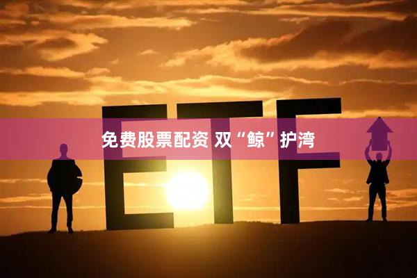 免费股票配资 双“鲸”护湾